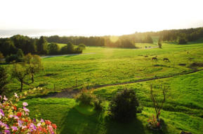 Sonnenaufgang auf Hof Rossruck